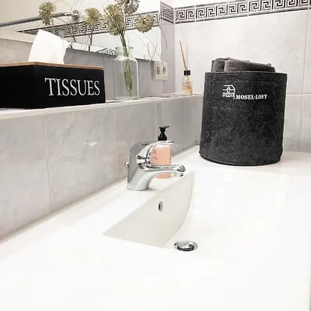 Apartamento Mosel-loft *