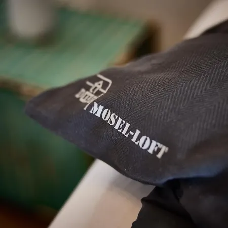 Mosel-loft Appartement *